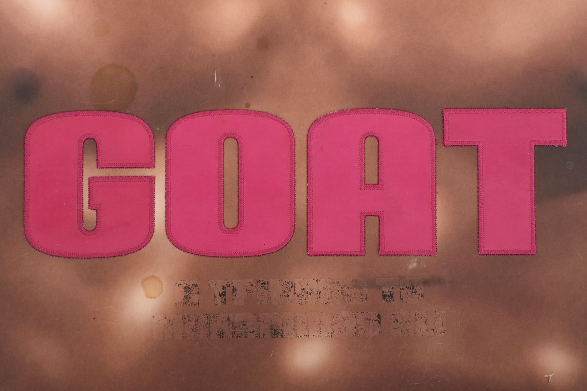Muhammad Ali and Jeff Koons GOAT 02