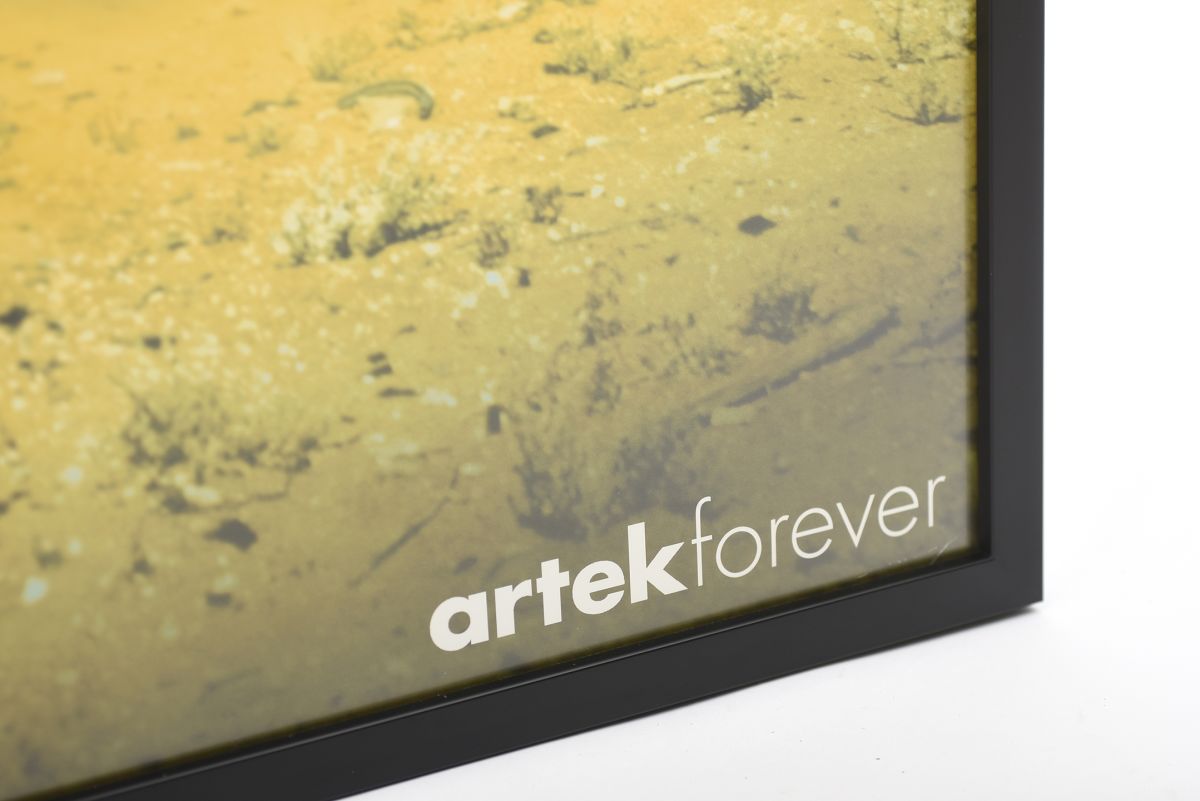 Anonymous Rare Artek campaign poster 2000s 02