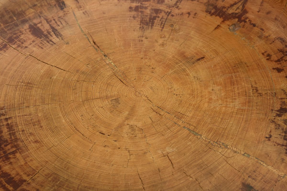 Anonymous huge wood chair 05