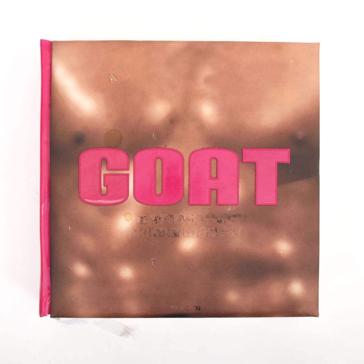 Muhammad Ali and Jeff Koons GOAT