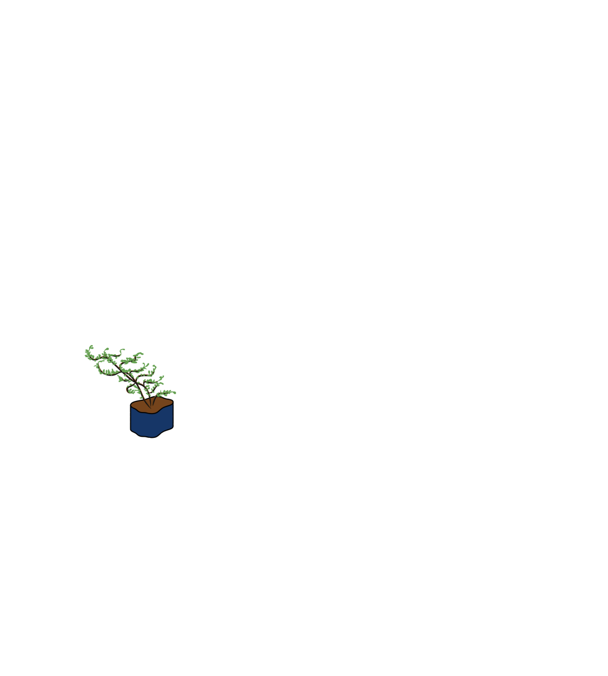 Animation a3 2 e