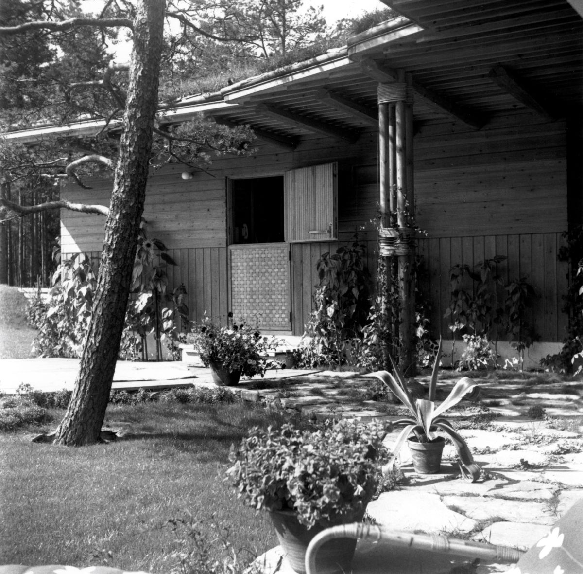 Villa Mairea historical photo 1