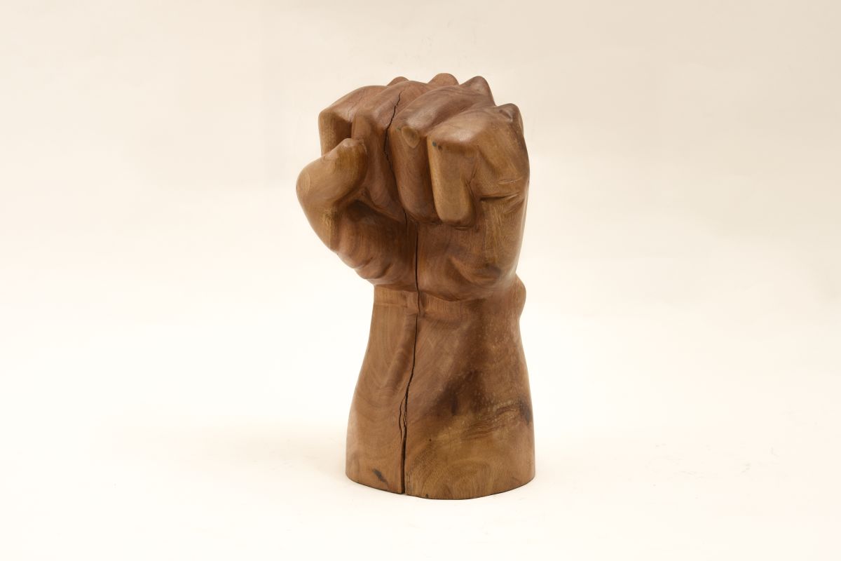 Anonymous-Wooden-Fist