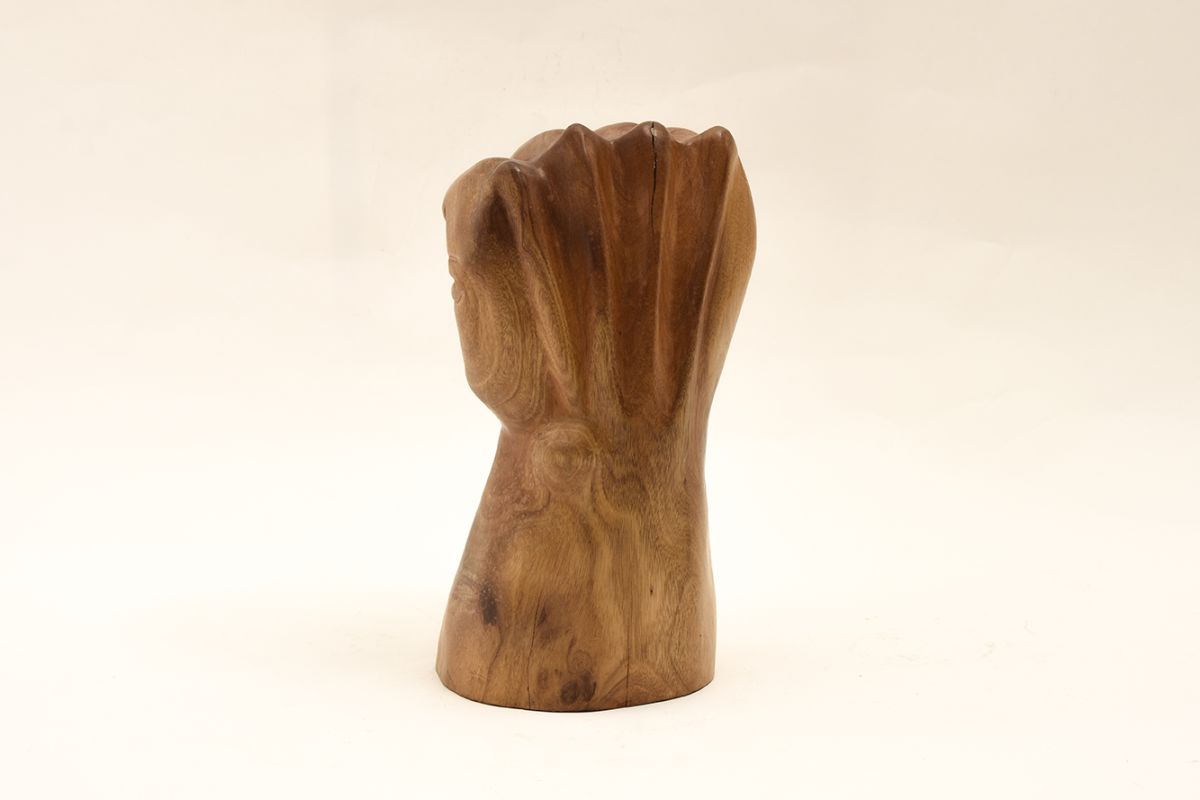 Anonymous-Wooden-Fist_back