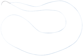 #2-0 FiberLoop, blau, mit gebogener Nadel, 3/8 Kreis