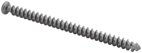 Low Profile Screw, 5.5 x 100 mm, Titanium