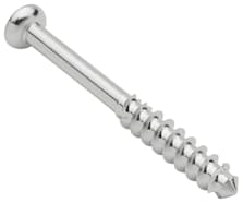 Low Profile Screw, SS, 4.0 x 36 mm, Long Thread