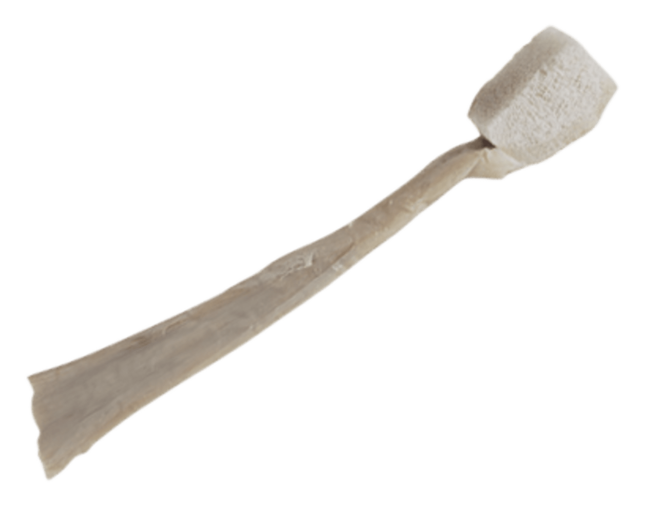 Arthrex - Achilles Tendon w/ Bone Block - ACT-001