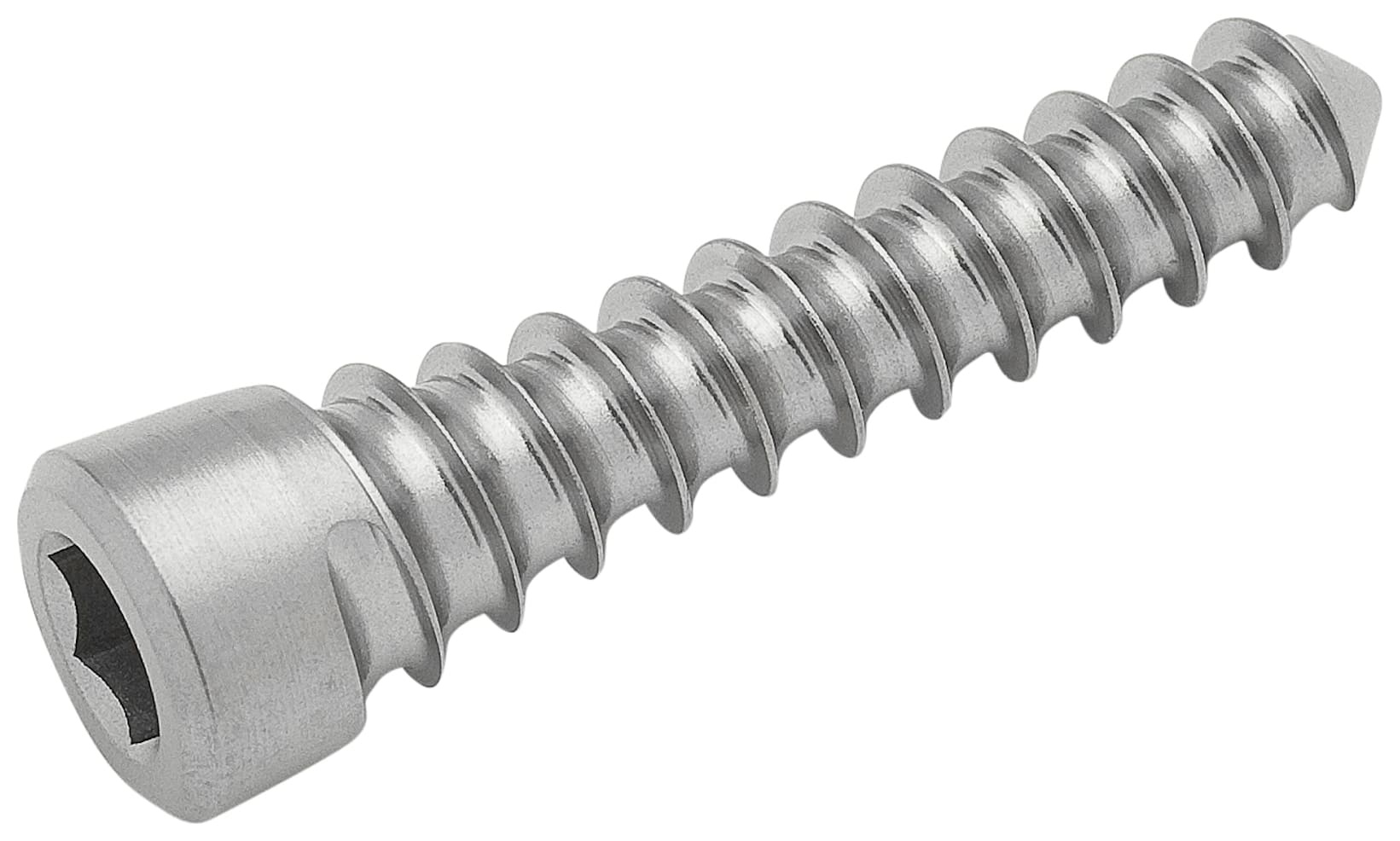 Screw, Cortical, 4.5 x 26 mm