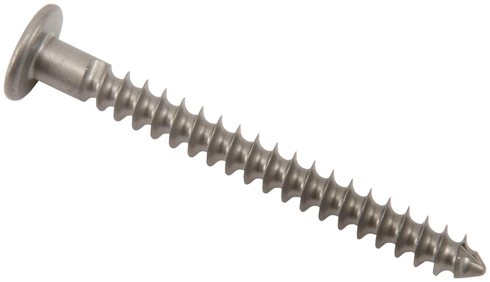 Bi-Cortical Post, 4.5 mm x 42.5 mm