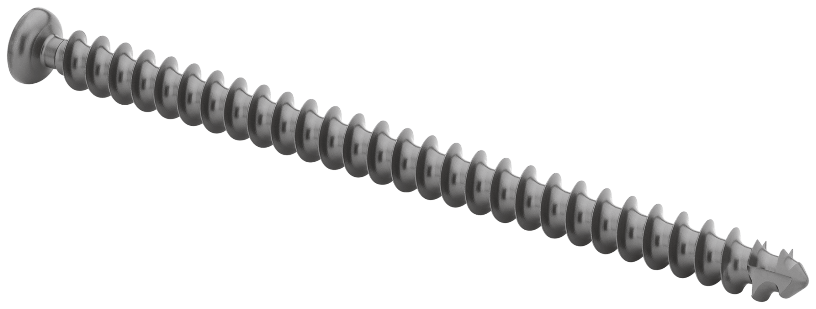 Low Profile Screw, 5.5 x 95 mm, Titanium