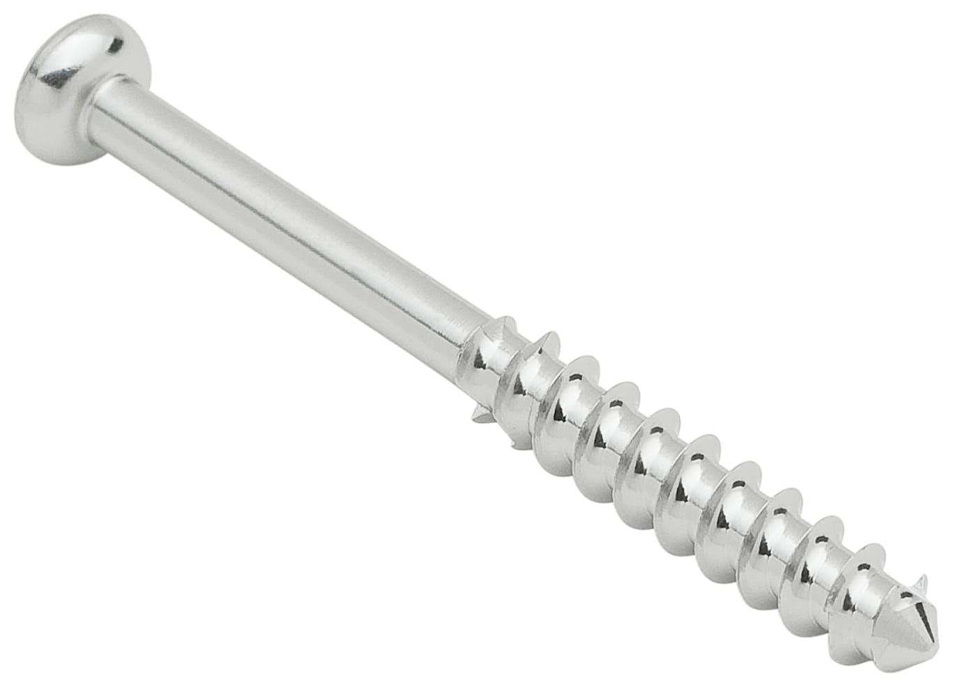 Low Profile Screw, SS, 4.0 x 40 mm, Long Thread