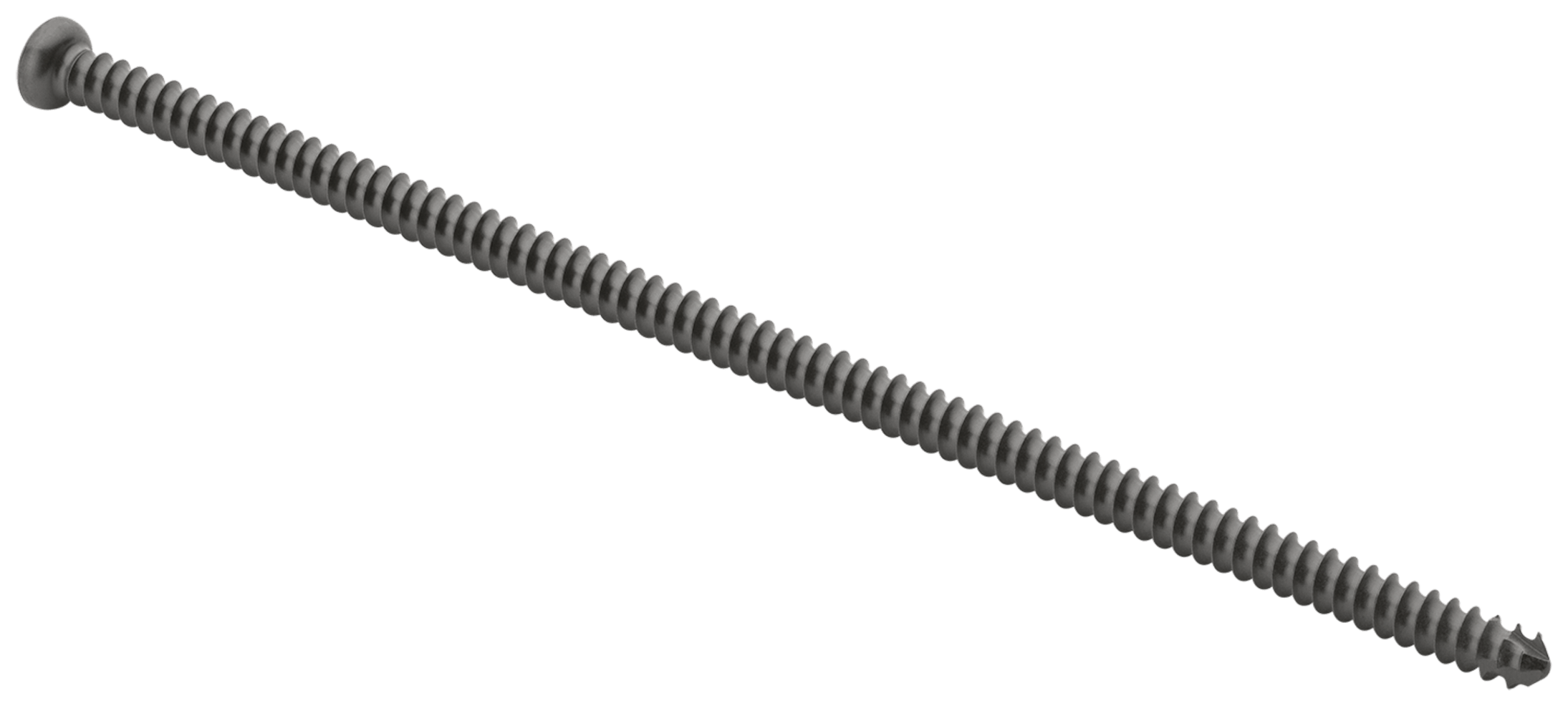 Low Profile Screw, 3.5 x 100 mm, Titanium