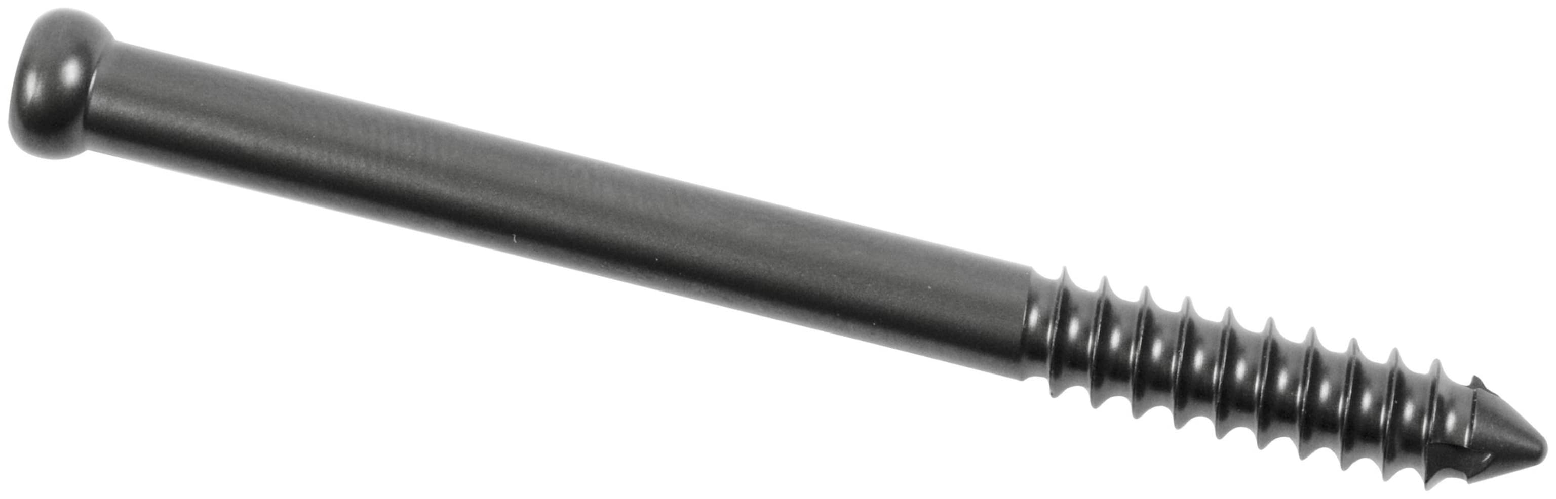 Low Profile Screw, Titanium, 5.5 mm x 65 mm, SU