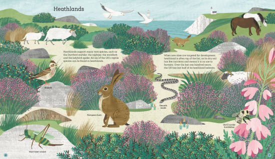 Illustration by Angela Keoghan