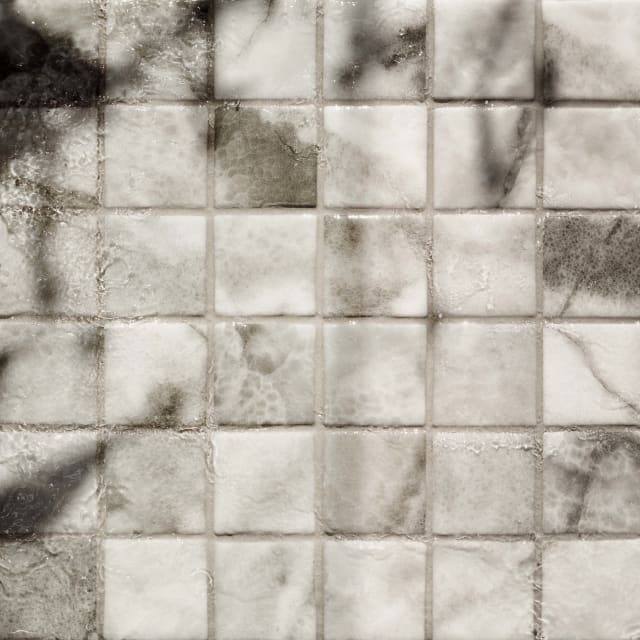 artisanexterior image upload c_limit,f_auto,w_640 v1776395256 Artisan_Exterior_Core_Pool_Mosaic_50x50_1_fmcwiv