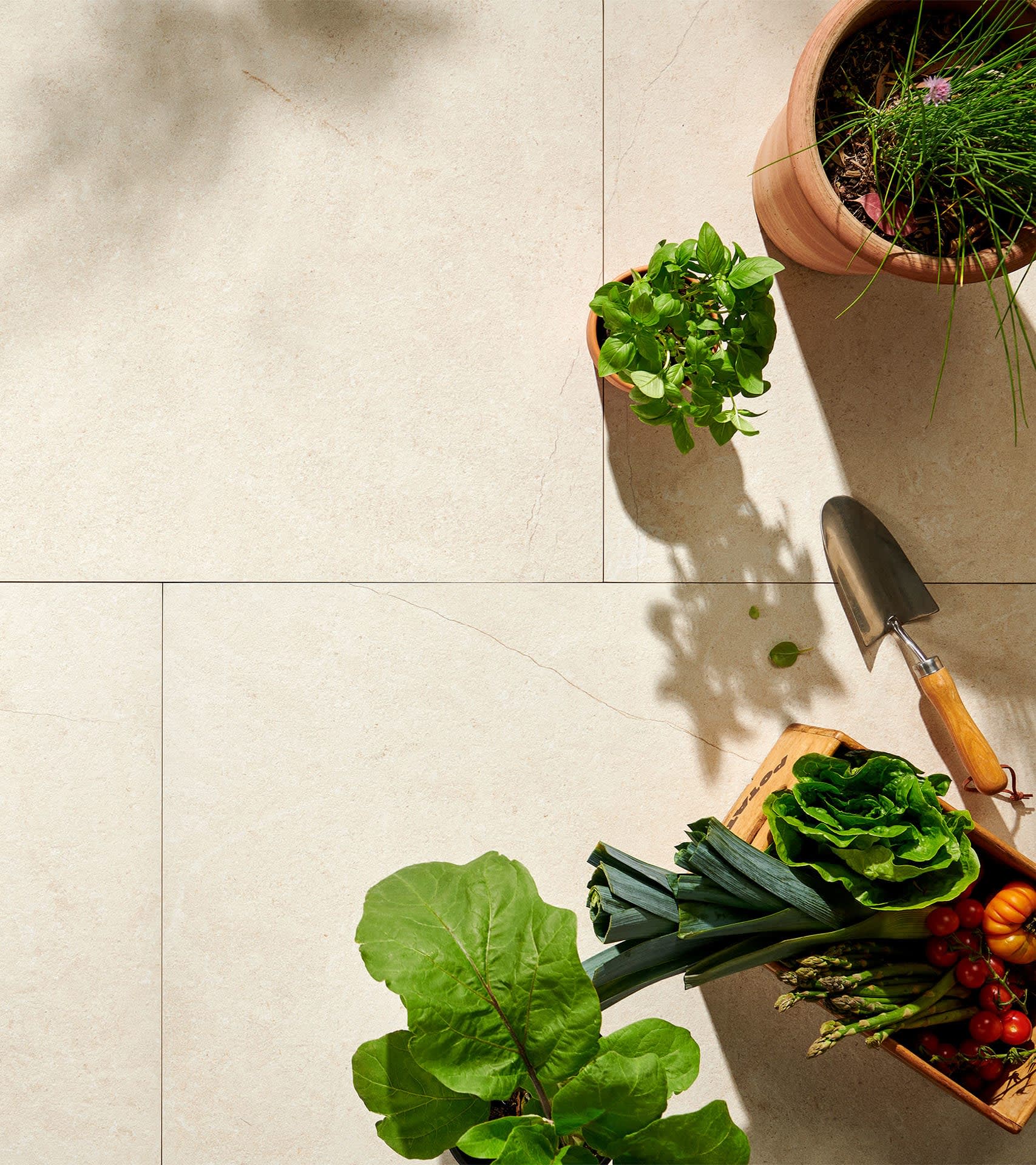 Lima Porcelain Pavers pot plants