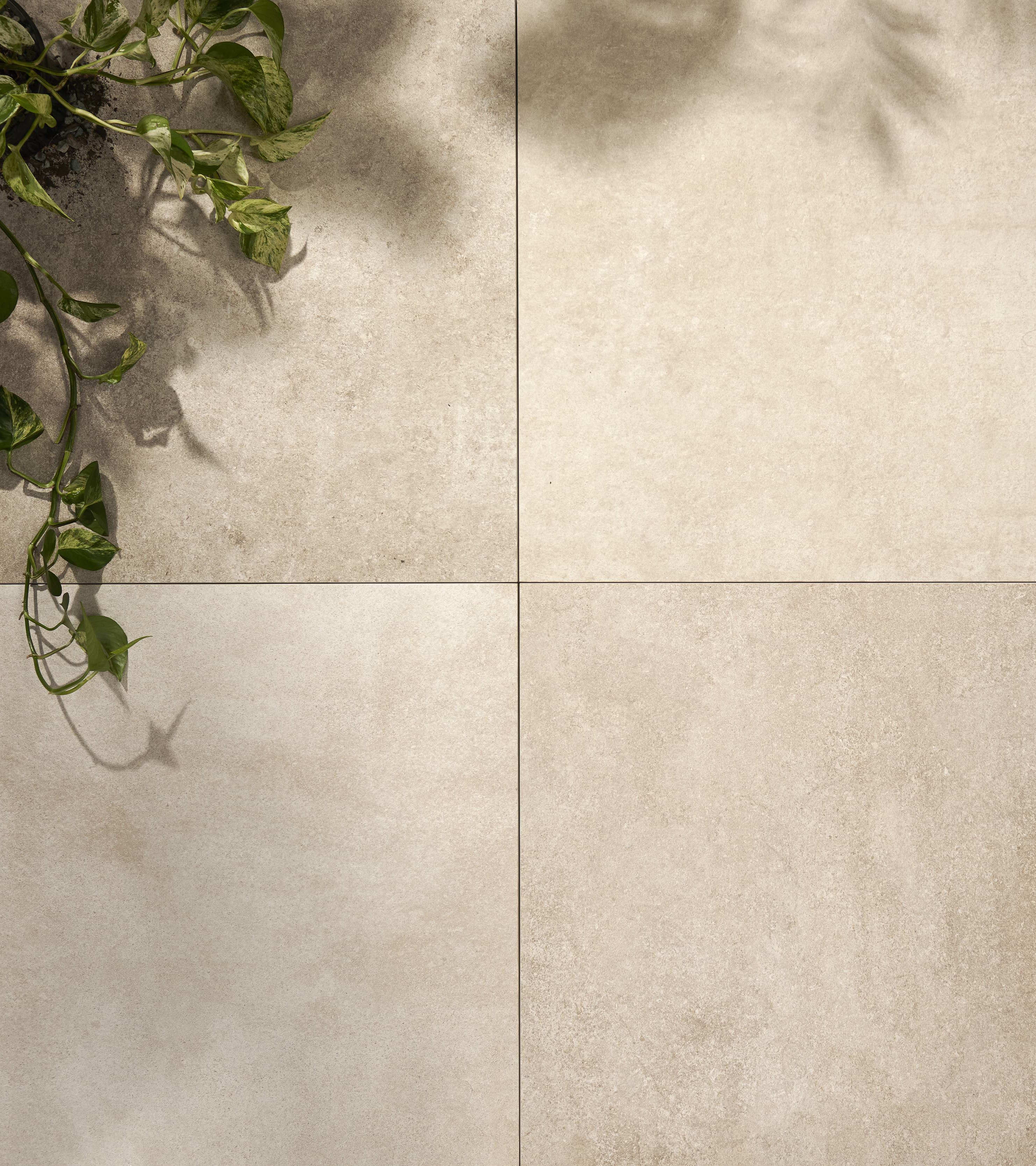 Eboro Porcelain Pavers plant prop