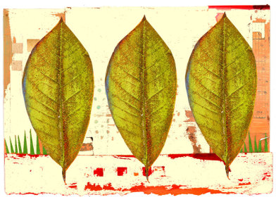 Tres Verdes