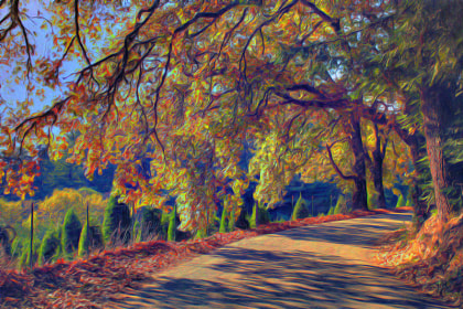 Curve Mt Charlie Rd