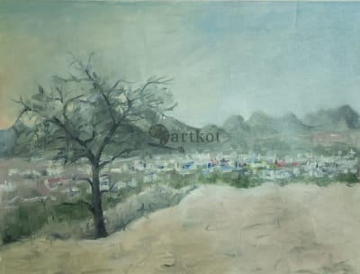 Pushkar from mountain top
