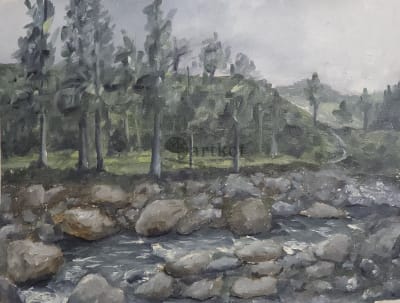 View from a rock