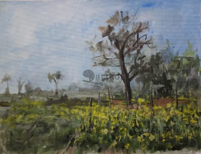 Mustard field, Siwan, Bihar