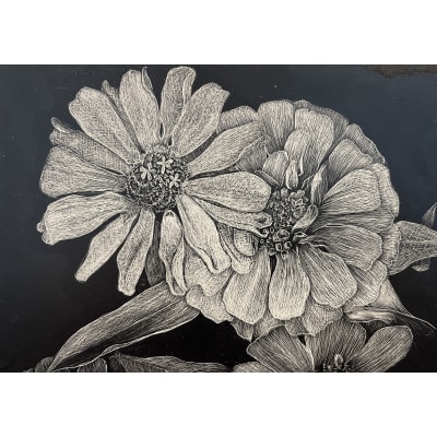 Frank Goff - Black & White Daisy and Zenia