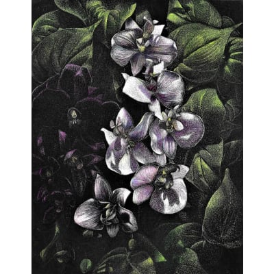 Frank Goff - Orchids and Philodendrons