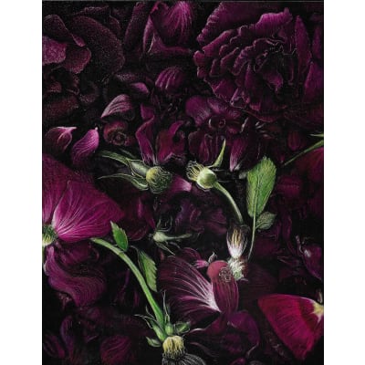 Frank Goff - Rose Petals