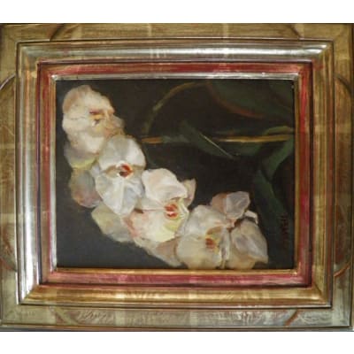 Karolyn Farrell - Orchids