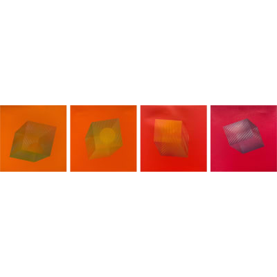 Martin Morales - Cubo en Cuatro Tiempos