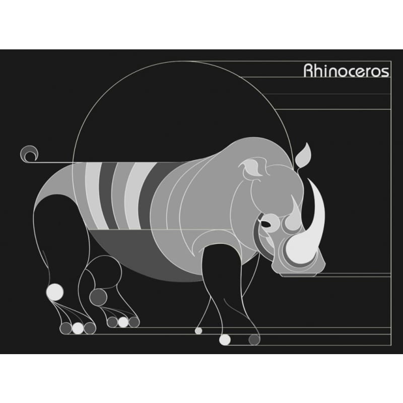 files/donavon-brutus-rhinoceros.jpg