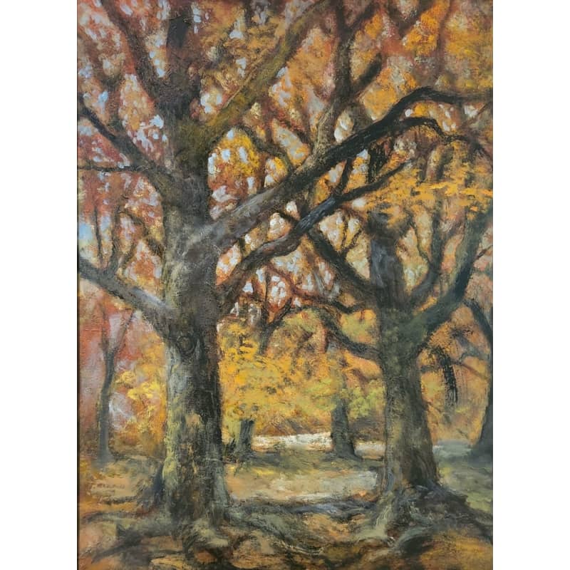 files/doug-randall-fall-canopy.jpg