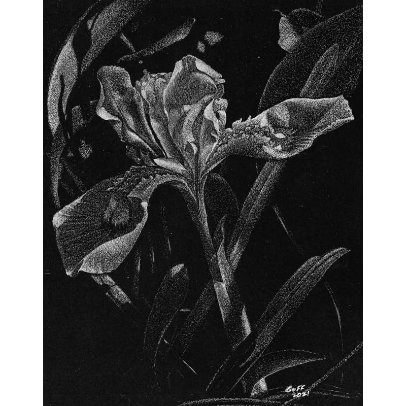 files/frank-goff-black-and-white-iris.jpg