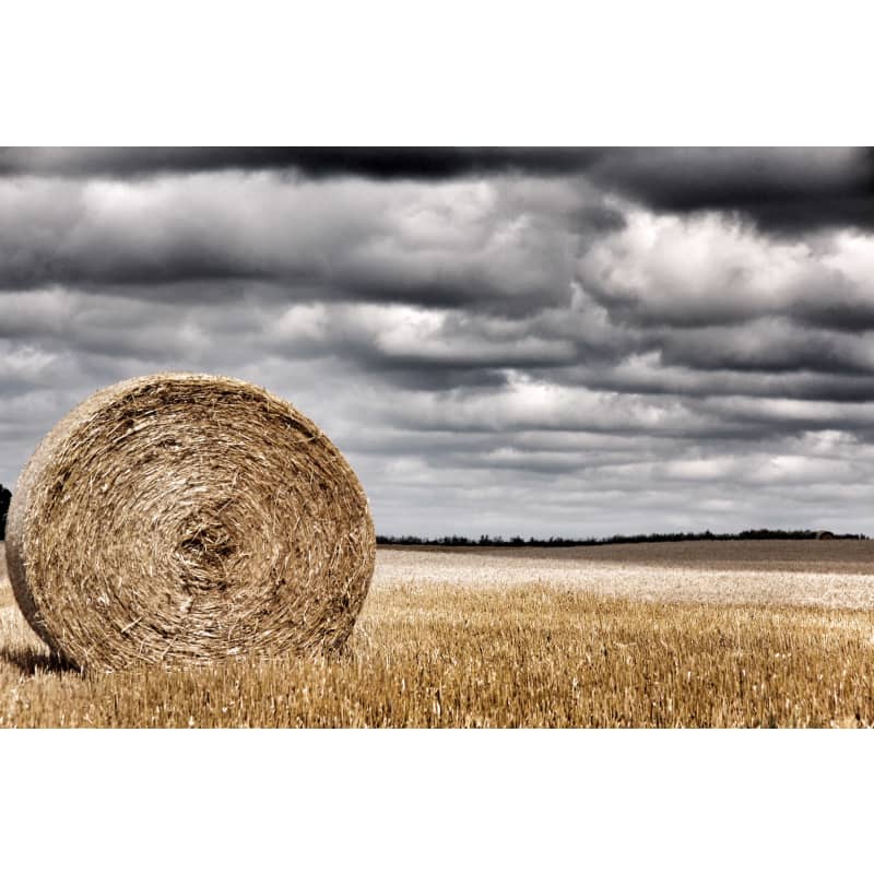 files/heather-chilson-making-hay-while-the-sun-still-shines.jpg