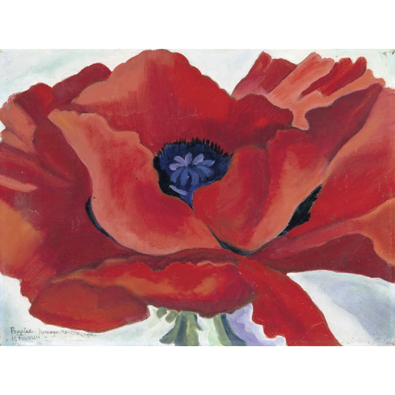 files/karolyn-farrell-red-poppy.jpg