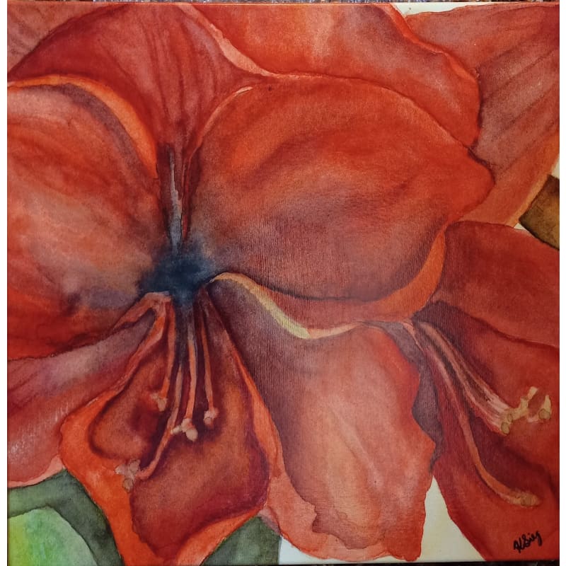 products/kathleen-siegfried-amaryllis.jpg