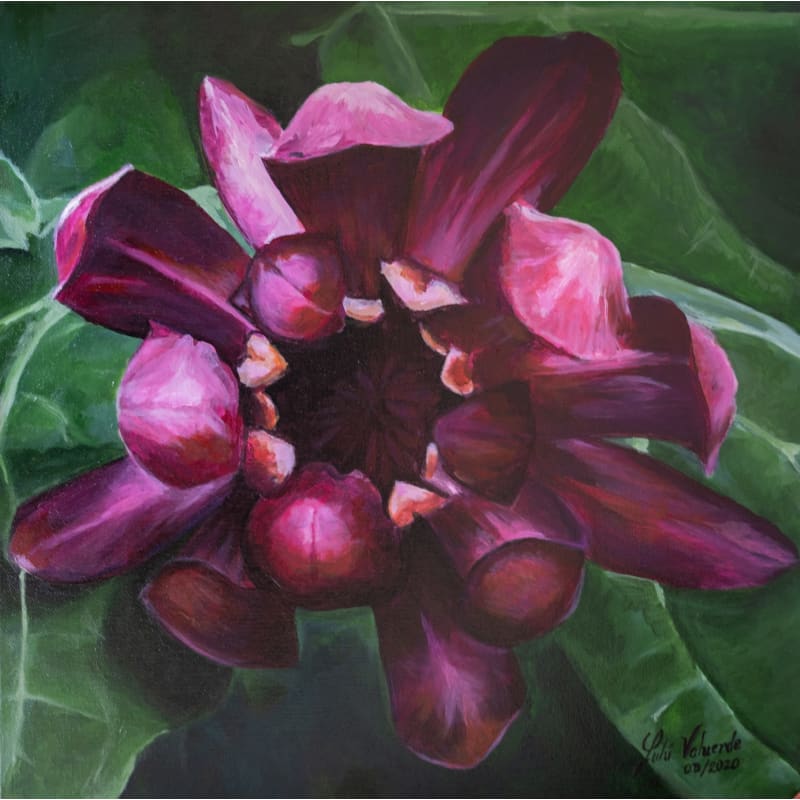 files/lourdes-valverde-purple-heart-ii.jpg