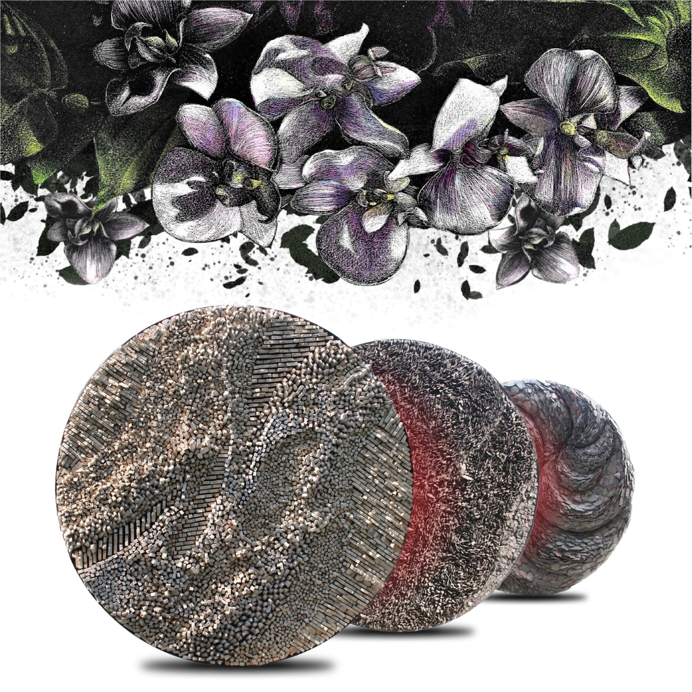 Constructions, Carvings, & Curiosities Image