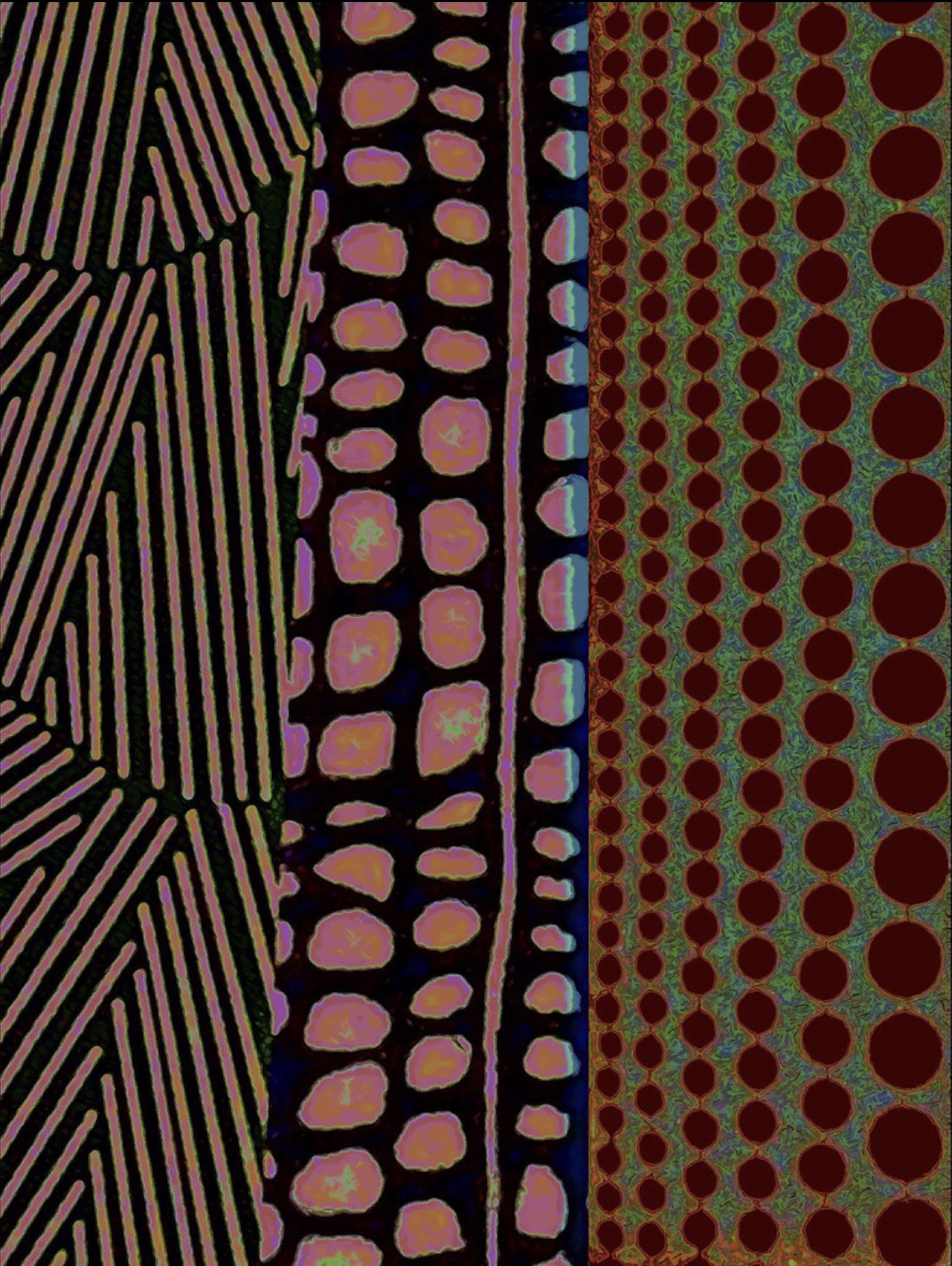 The Mind’s Eye Image