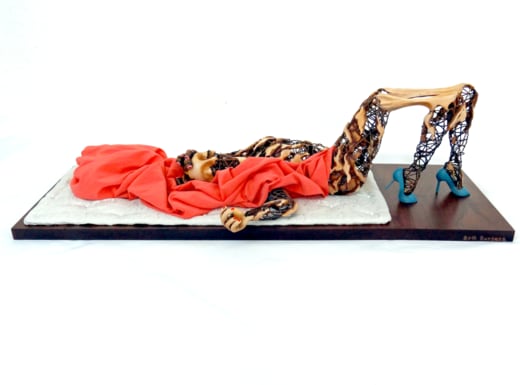 The Shape of Our World Image