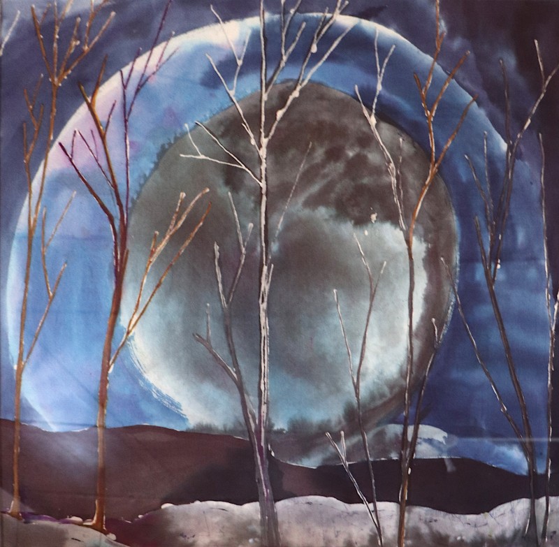 Solstice Lake Fort Smith by Denice Nicholson