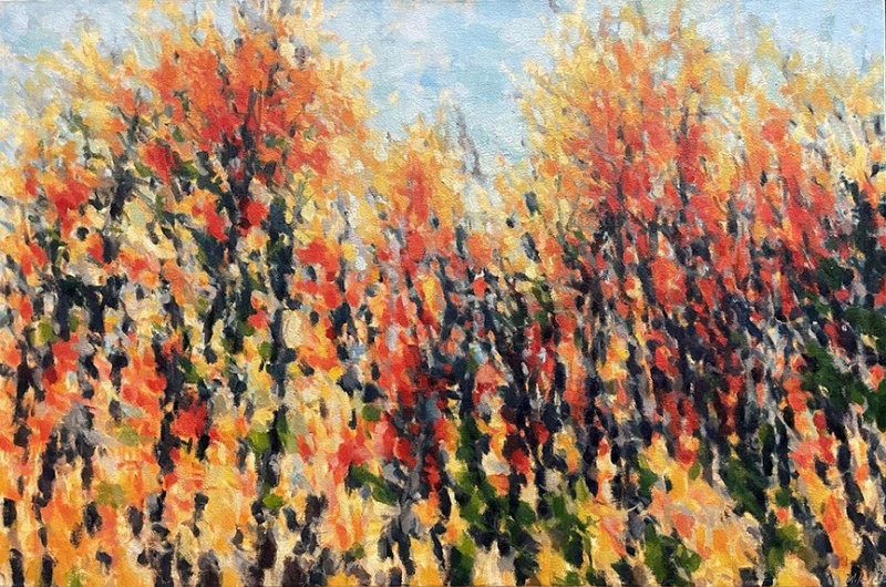 Radiance by Dolores Justus