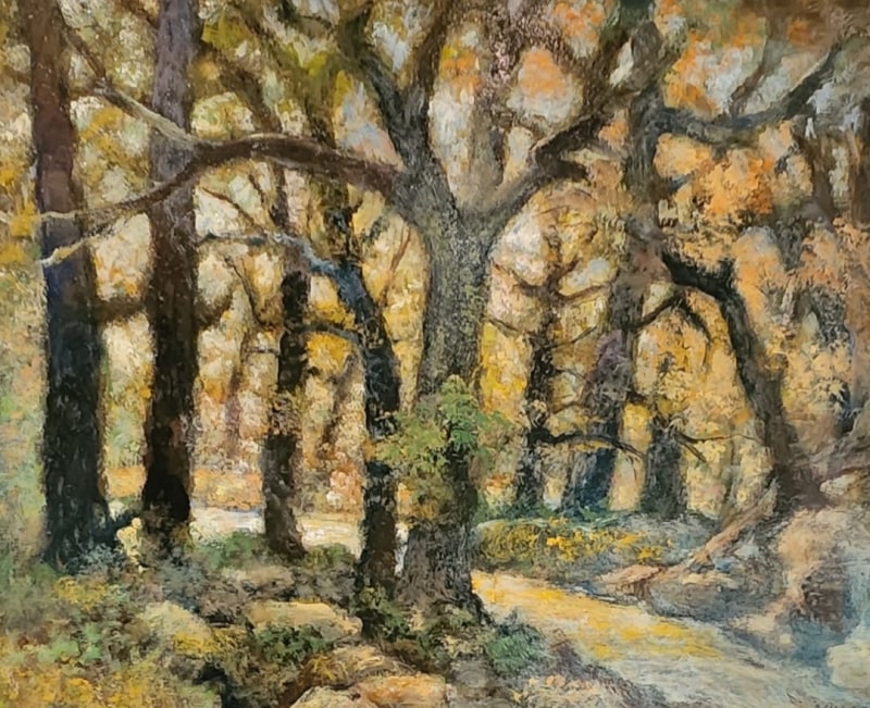 Lazy Creek by Doug Randall