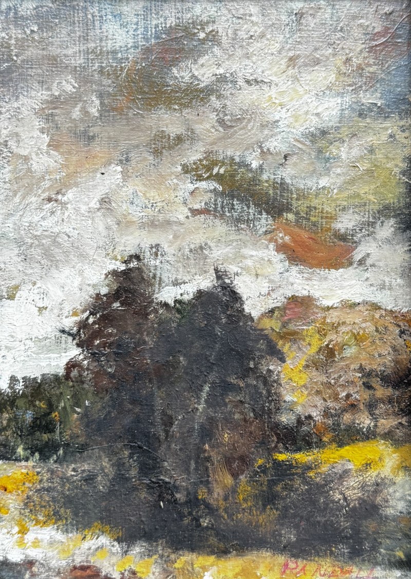 Mountain View by Doug Randall