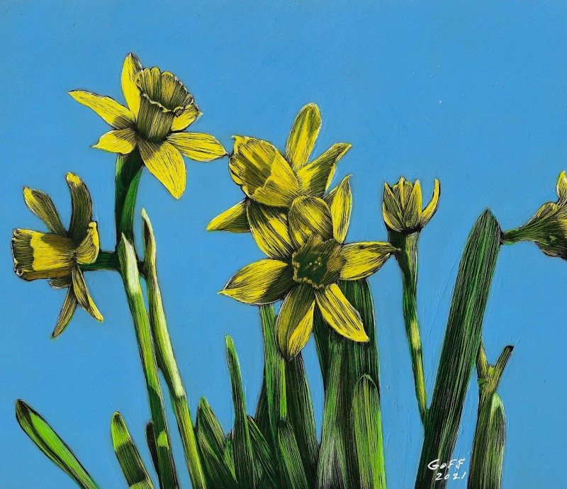 Daffodils by Frank Goff