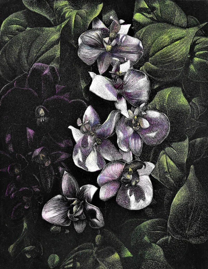Orchids and Philodendrons by Frank Goff