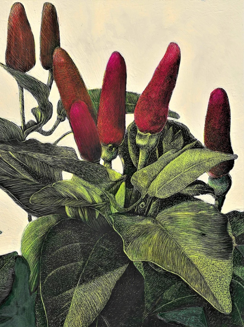 Red Hot Chili Peppers by Frank Goff