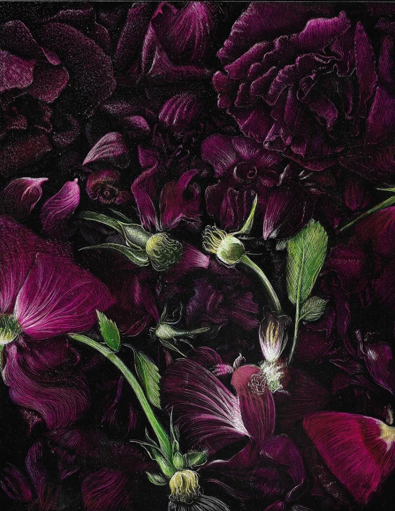 Rose Petals by Frank Goff